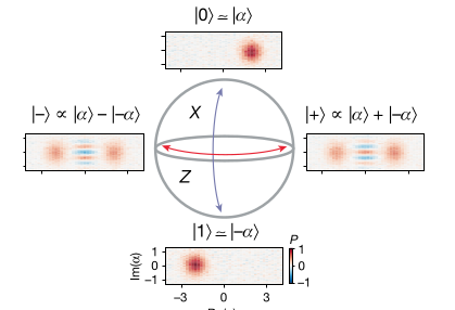 a cat qubit