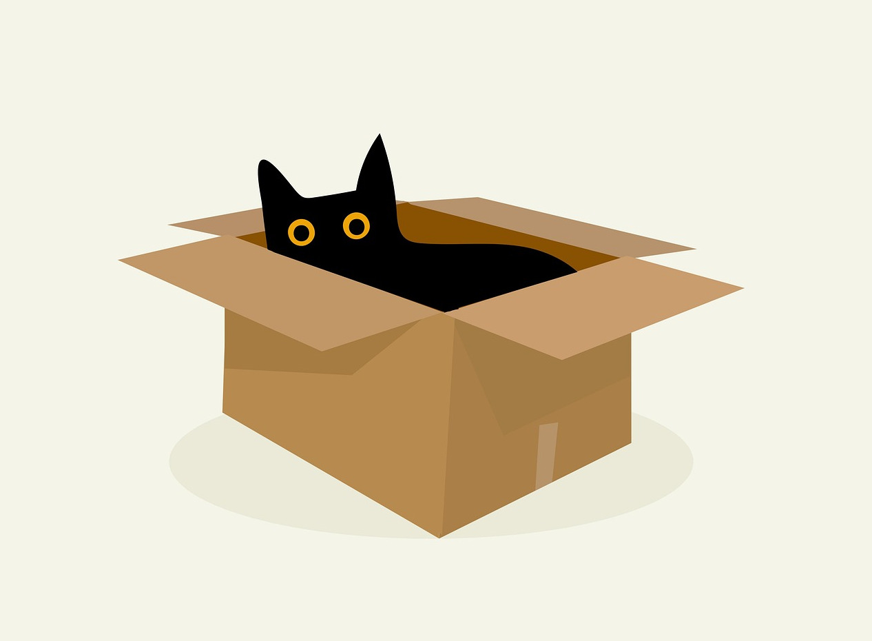 a cat in a box