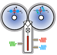 CNOT-gate for cat-qubits